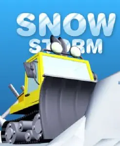Snow Storm