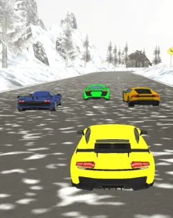 Snow Fast Hill Track Racing